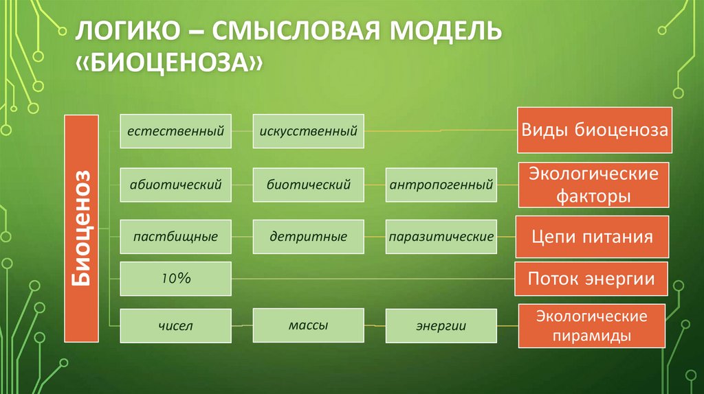 Основные поставщики энергии в биоценозе