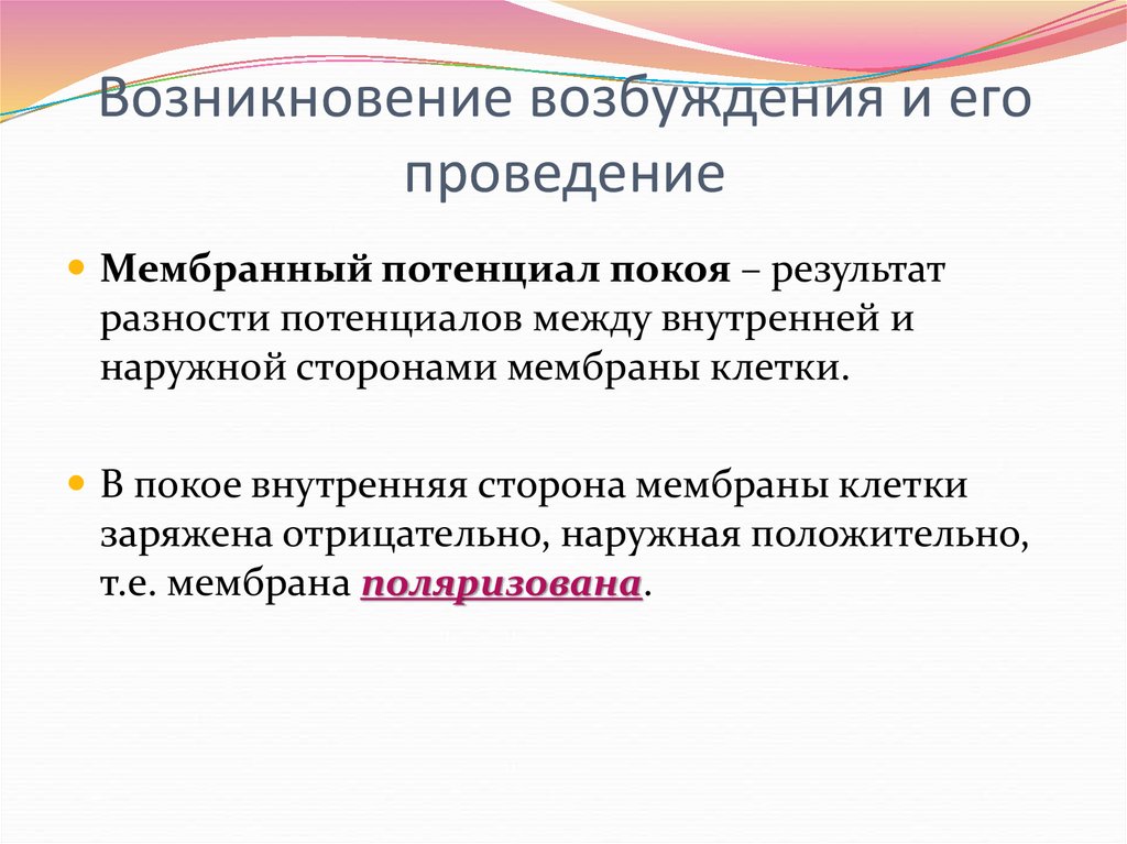 Понятия возбуждения. Возникновение возбуждения и его проведение. Условия возникновения возбуждения. Возникновение возбуждения и его проведение физиология. Условия возникновения возбуждения физиология.