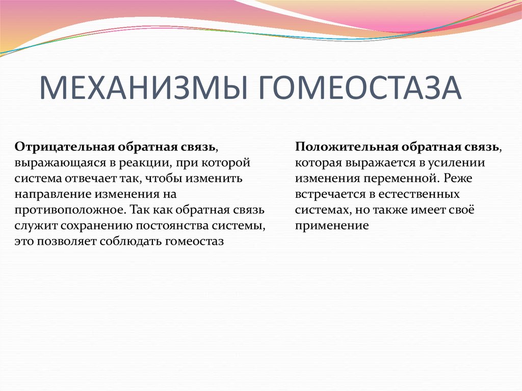 Поддержание гомеостаза. Механизмы гомеостаза. Механизмы регуляции гомеостаза. Механизмы поддержания гомеостаза физиология. Механизмы сохранения гомеостаза.