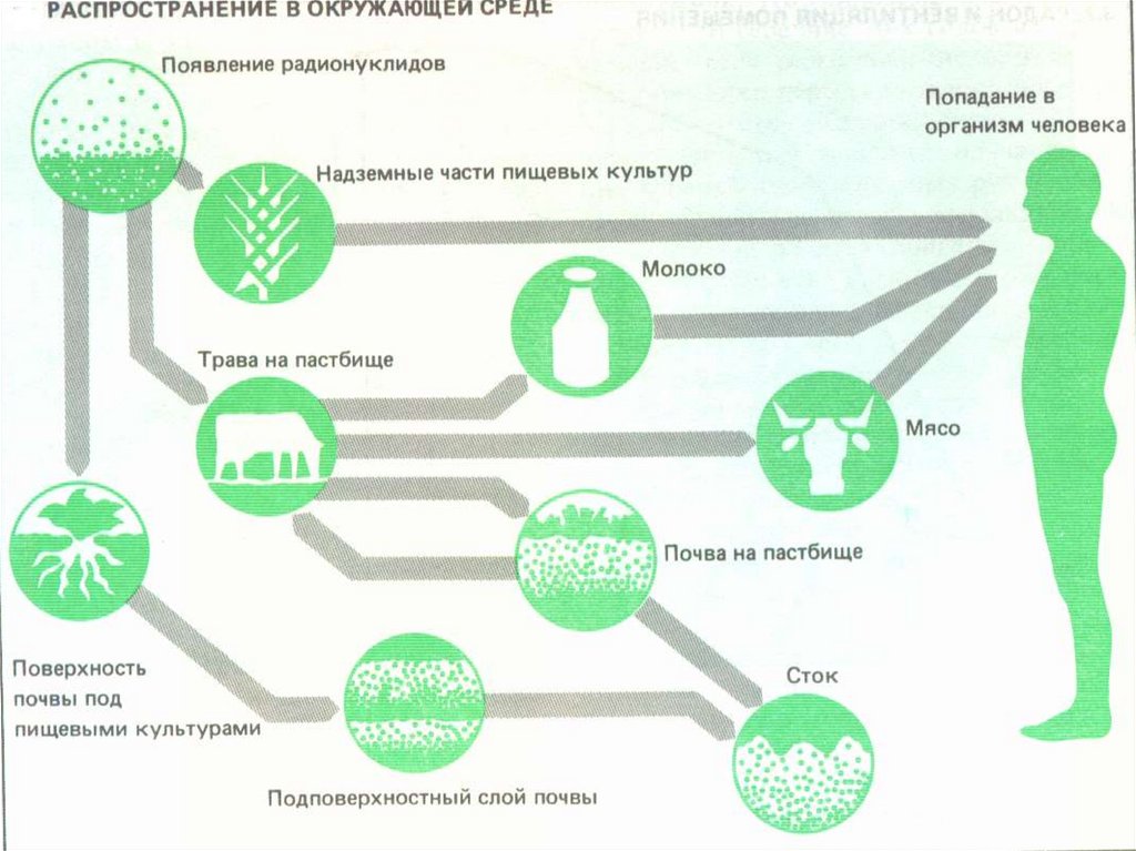 Химия и окружающая среда презентация