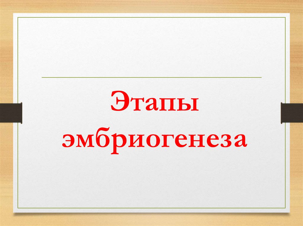 Рост и развитие животных 10 класс презентация. Рост и развитие животных презентация.