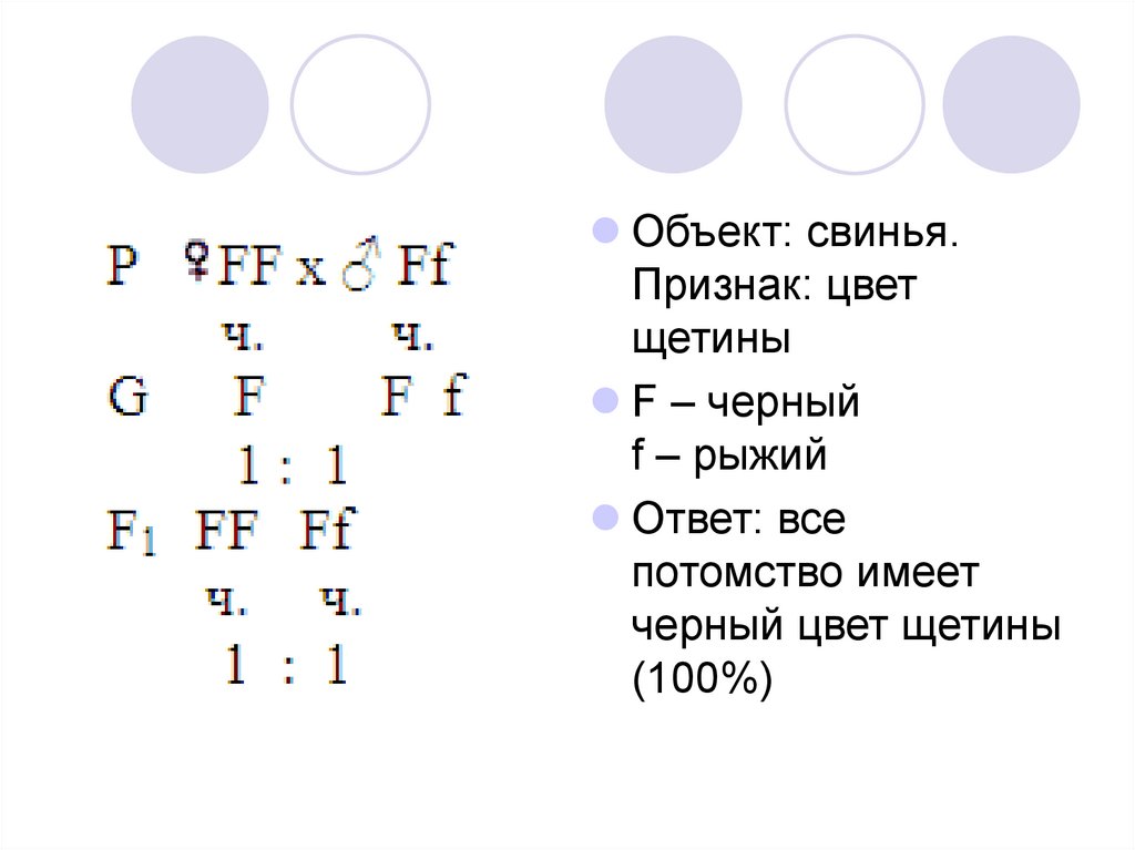 Практическая работа составление простейших схем скрещивания 10 класс