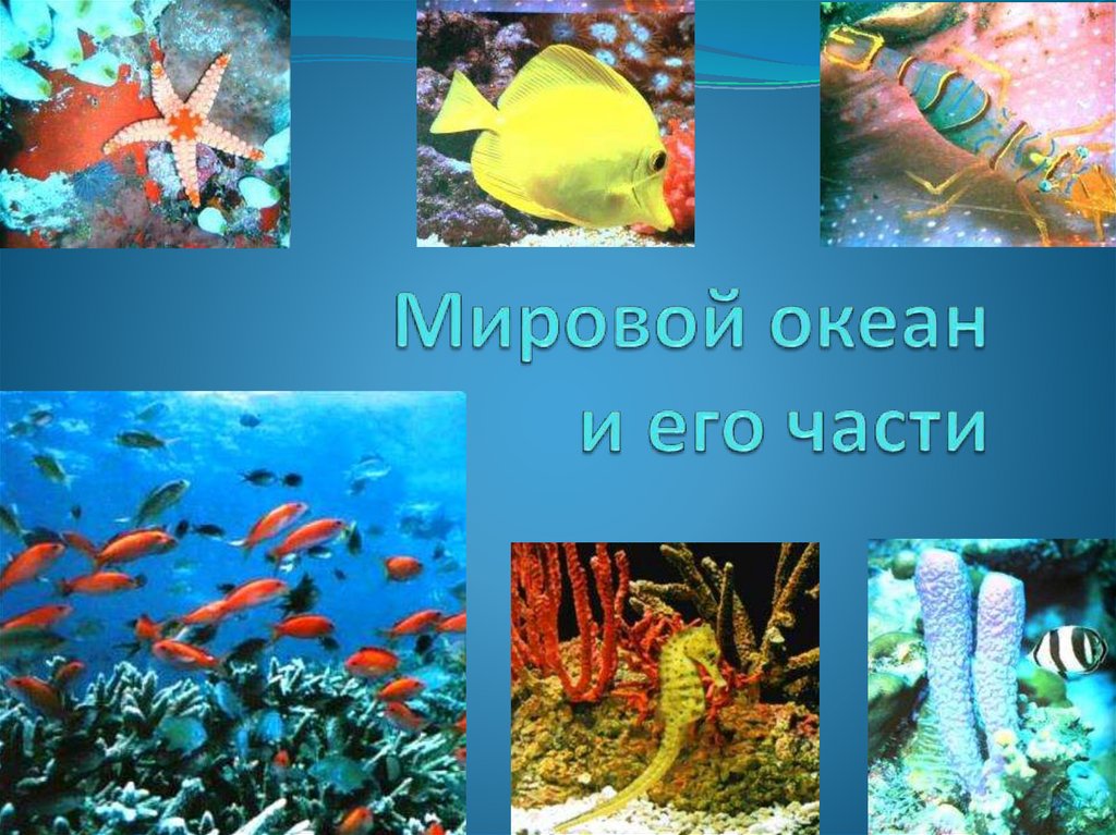 Части океана 6 класс география. Мировой океан и его части. Мировой океан части мирового океана. Проект на тему части мирового океана. Проект мировой океан.