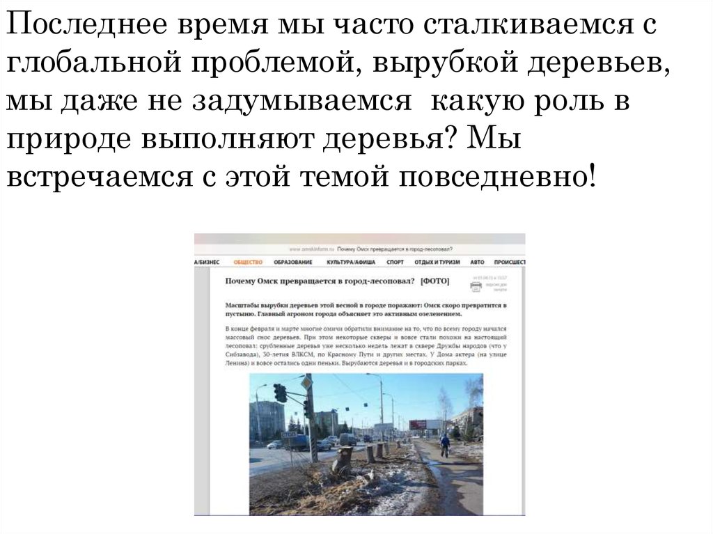 Последнее время мы часто сталкиваемся с глобальной проблемой, вырубкой деревьев, мы даже не задумываемся какую роль в природе