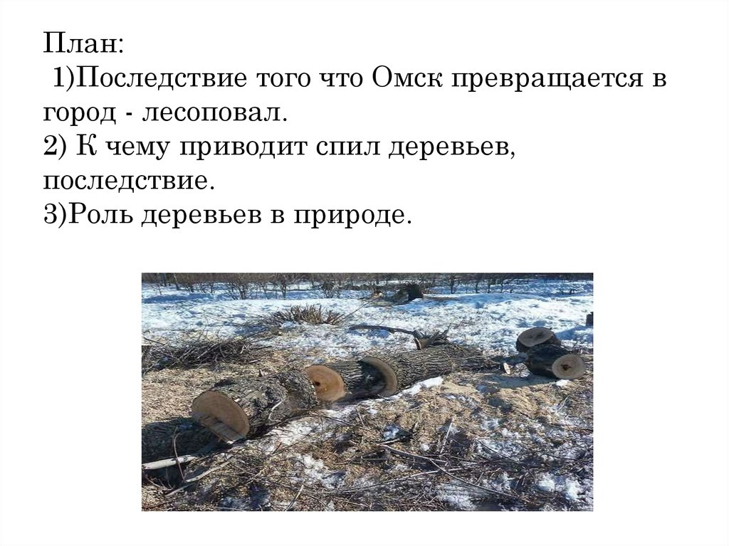 План: 1)Последствие того что Омск превращается в город - лесоповал. 2) К чему приводит спил деревьев, последствие. 3)Роль