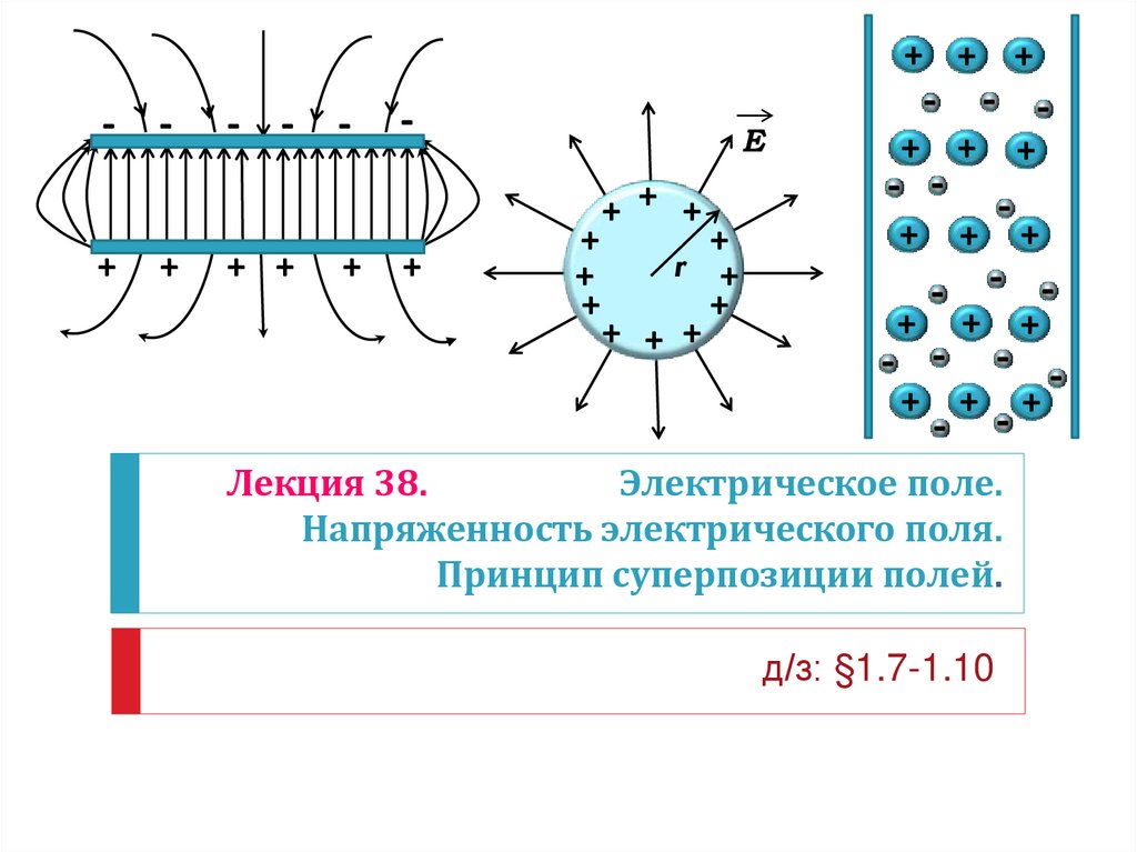 Электрическое поле в м. Напряженность электрического поля на биологической мембране. Напряженность электрического поля для биомембраны. Электрическое поле физика. Структура электрического поля.