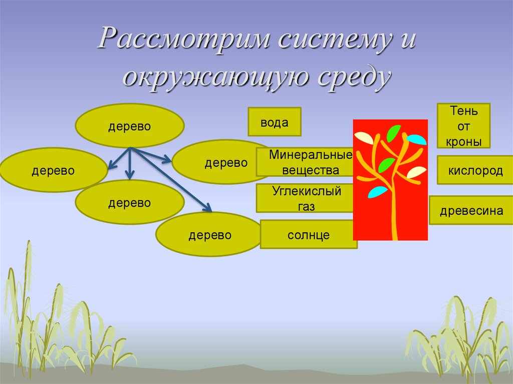 Рассмотрите систему. Система и окружающая среда. Система и окружающая среда примеры. Система и среда примеры. Система и окружающая среда Информатика 6 класс.