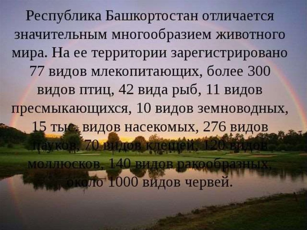 Республика башкортостан отзывы. Рассказ о Республике Башкортостан. Интересные факты о Башкортостане. Интересные факты о Башкирии. Разнообразие животного мира Башкортостана.