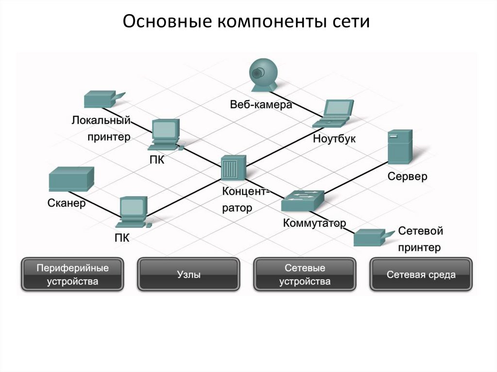 Сеть насколько. Схема подключения сетевых устройств. Программные компоненты компьютерной сети. Сетевые компоненты ЛВС. Схемы соединения сетевых устройств.