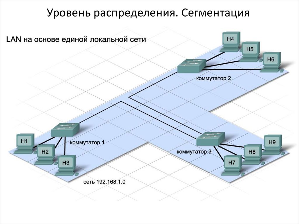 Level network. Уровень распределения. Коммутаторы уровня распределения. Уровень распределения сети. Сегментация локальной сети.