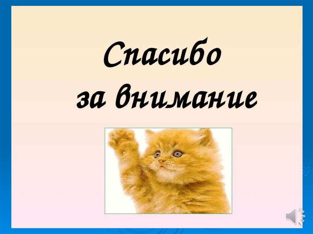 Картинка спасибо за внимание для презентации с котиком