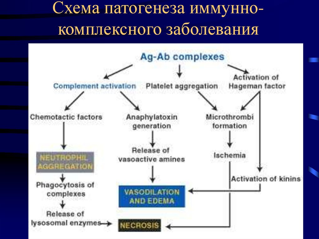 Схема развития заболевания. Синдром Гудпасчера патогенез схема. Схема патогенеза. Механизм развития болезней схема. Что такое патогенез заболевания.