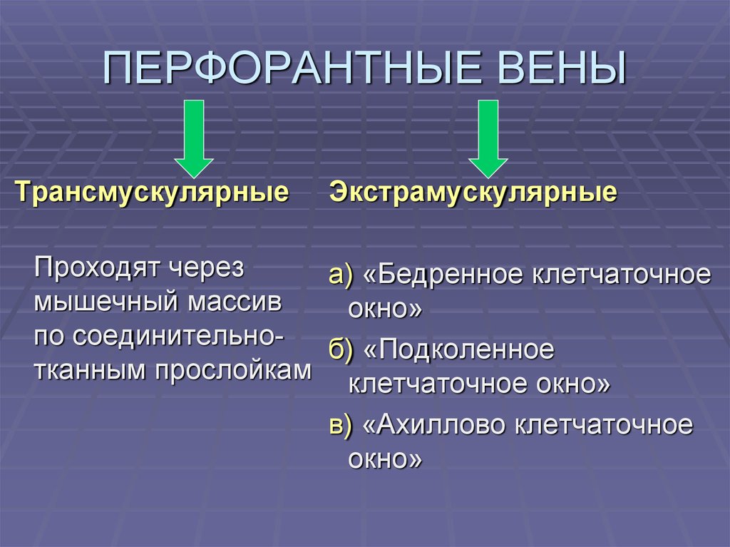 Перфорантные вены. Прямые и непрямые перфорантные вены. Недостаточность перфорантных вен. Перфорантные вены недостаточны в н/3.