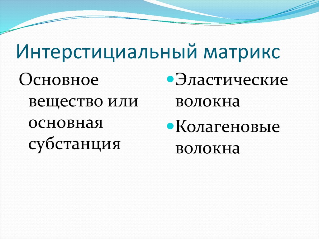 Интерстициальный матрикс