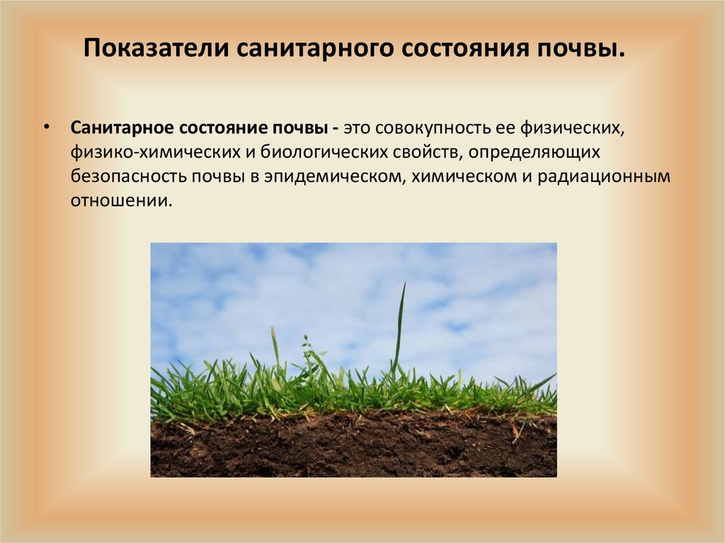 Изменения состояния почвы