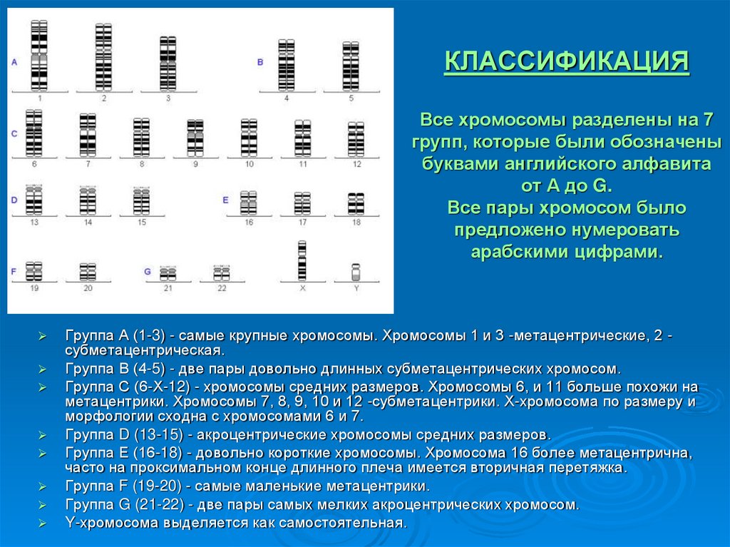 Хромосомы группы г. Разделение хромосом на группы. Хромосома до деления. Нумерация хромосом. Деление хромосом человека.