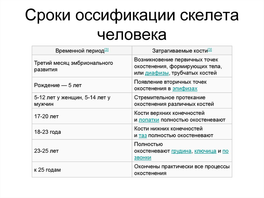 Даты появилась. Сроки оссификации скелета. Сроки оссификации скелета человека. Сроки окостенения скелета. Сроки окостенения скелета человека.