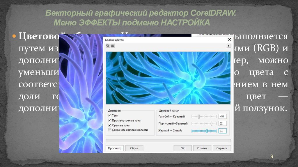 Презентация по coreldraw