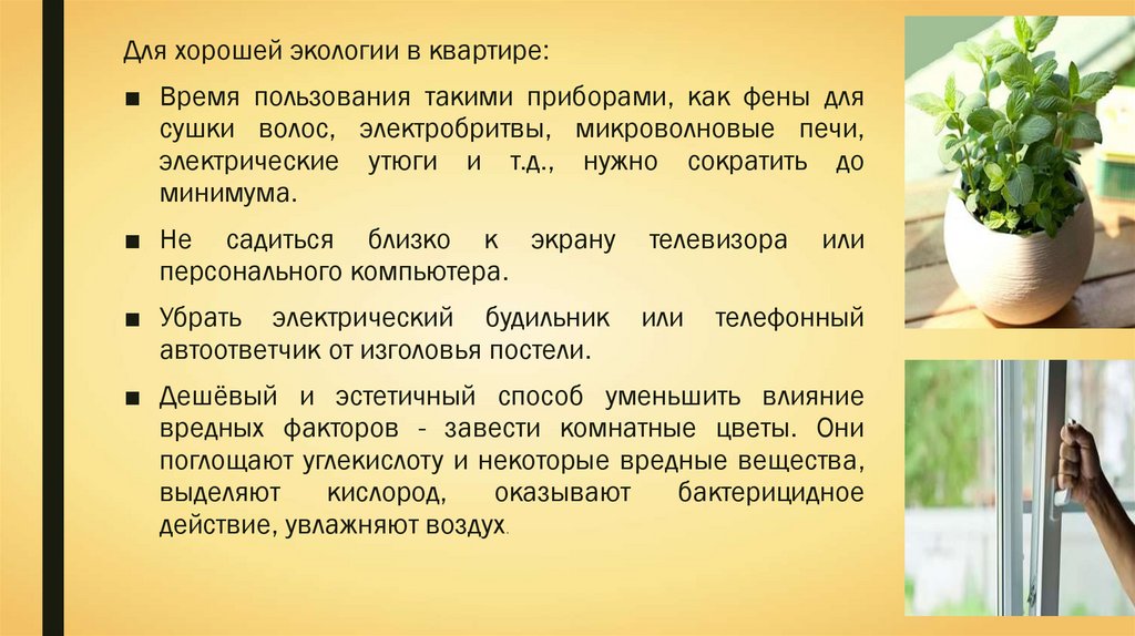 Экология жилища микроклимат в доме презентация 7 класс