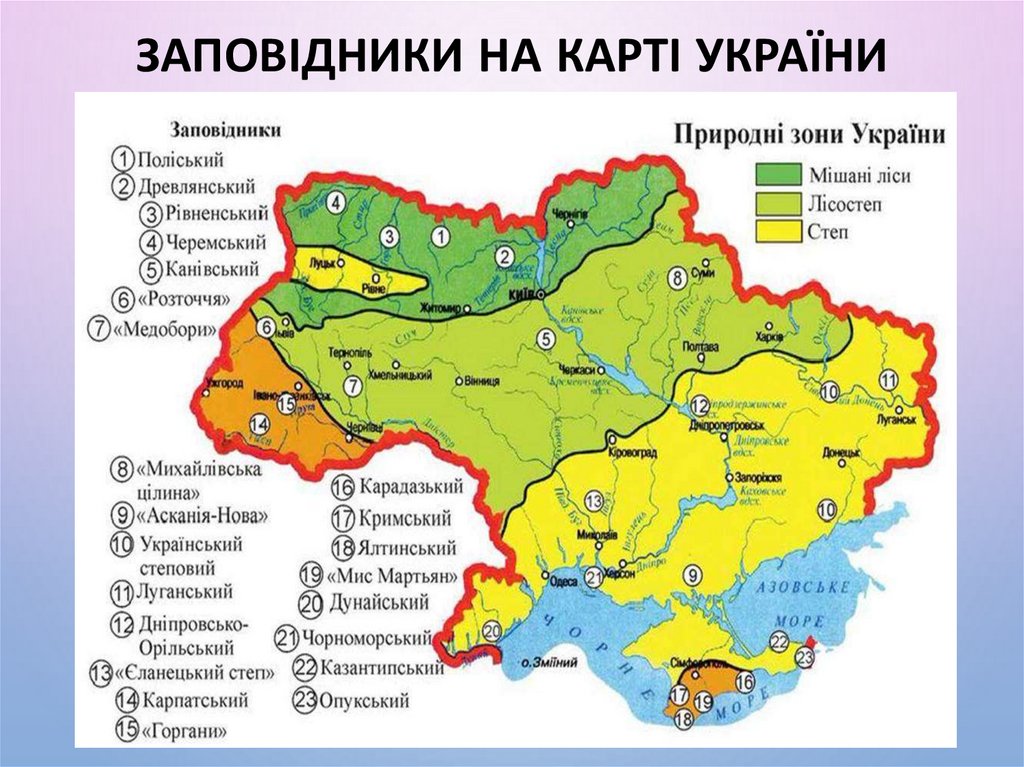 Міні проект заповідні території україни