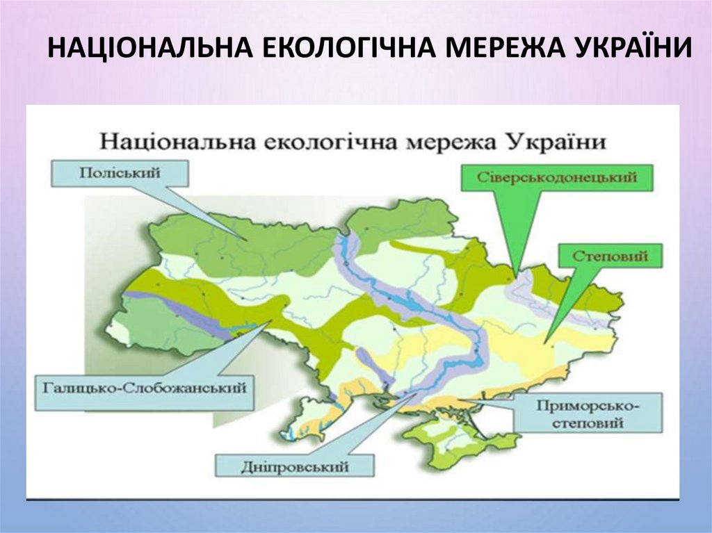 Національна екологічна мережа України