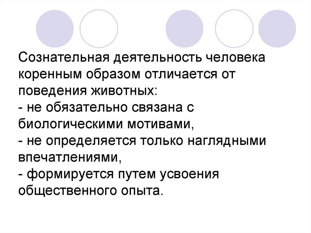 Сознательная активность животного