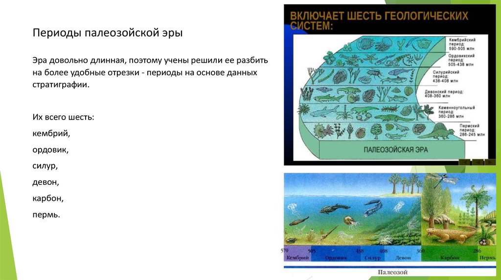 Палеозой пермь презентация