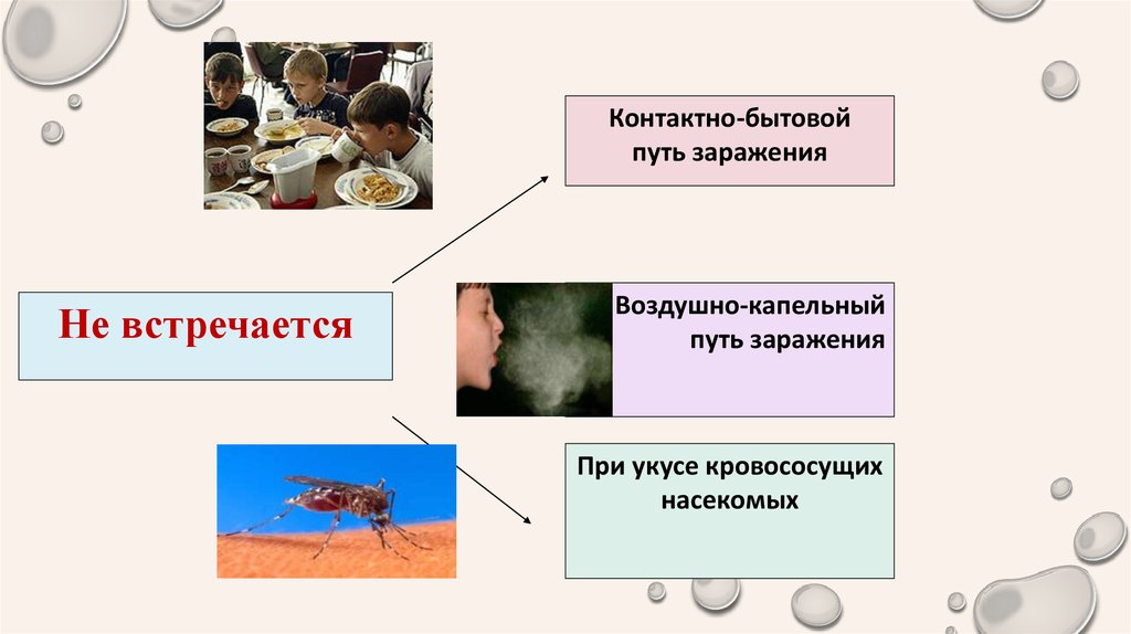 Контактные инфекции презентация