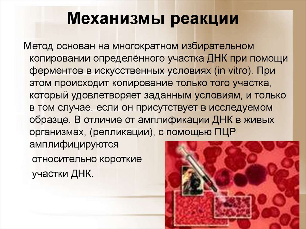 Метод реакции. Матричный Синтез презентация. Копирование определенного участка ДНК это метод. Реакционные методы это. Простой механизм реакции.