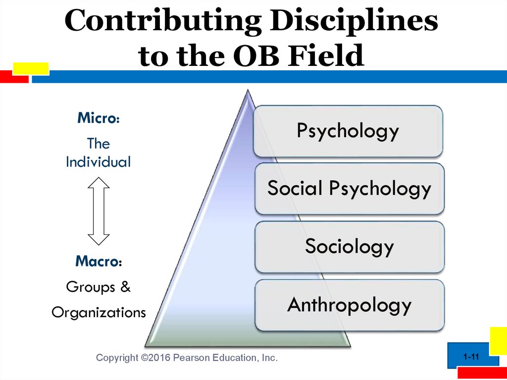 Disciplines Contributing to Organisational Behaviour (OB) - GeeksforGeeks