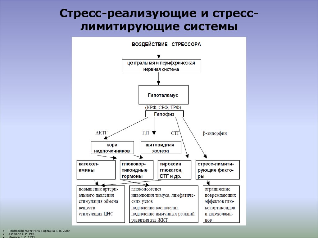 Схема стресс реализующей системы