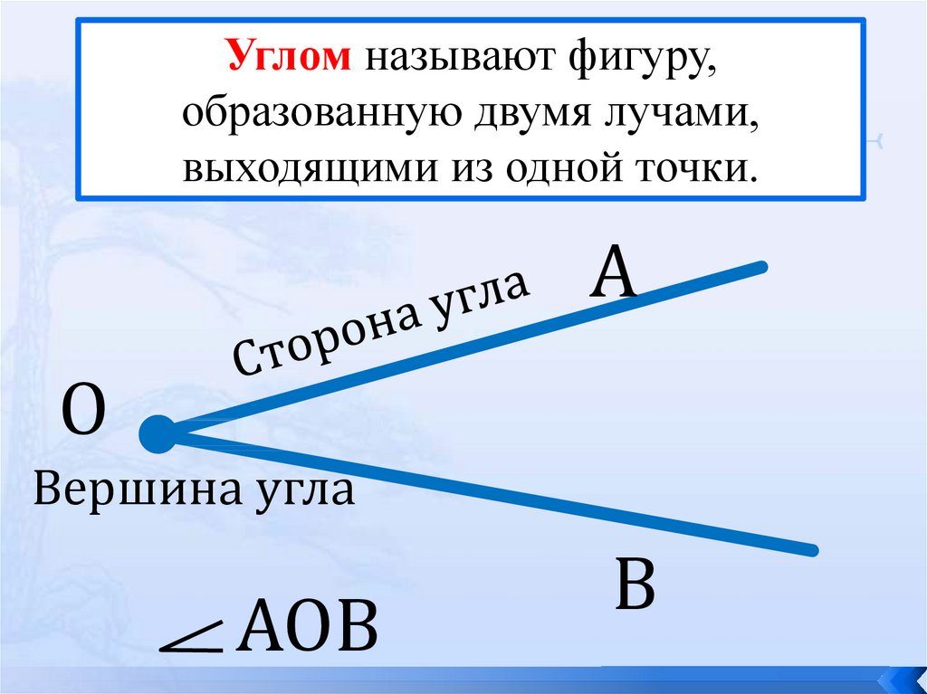 Виды углов измерение углов 5 класс презентация