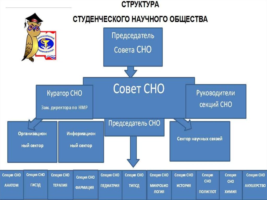 Презентация студенческого научного общества