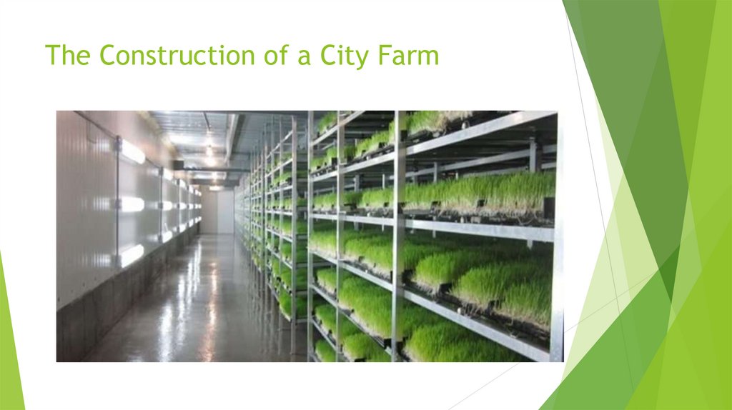 The Construction of a City Farm