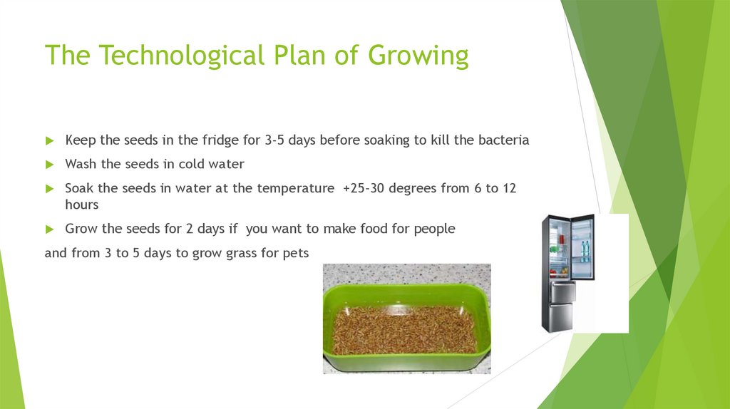 The Technological Plan of Growing