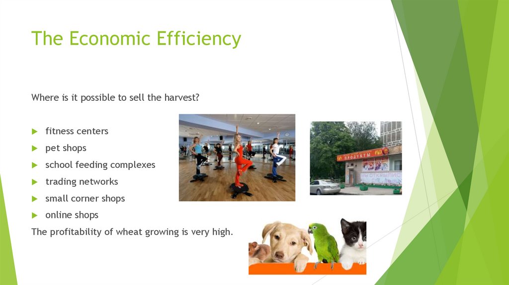 The Economic Efficiency