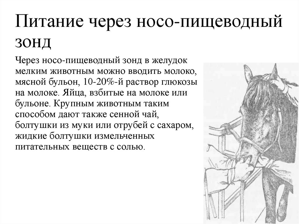 Кормление через зонд. Введение питания через зонд. Питание через желудочный зонд. Питание для кормления через зонд. Искусственное питание через зонд.