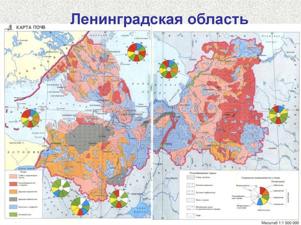 Ментальная карта экологические проблемы