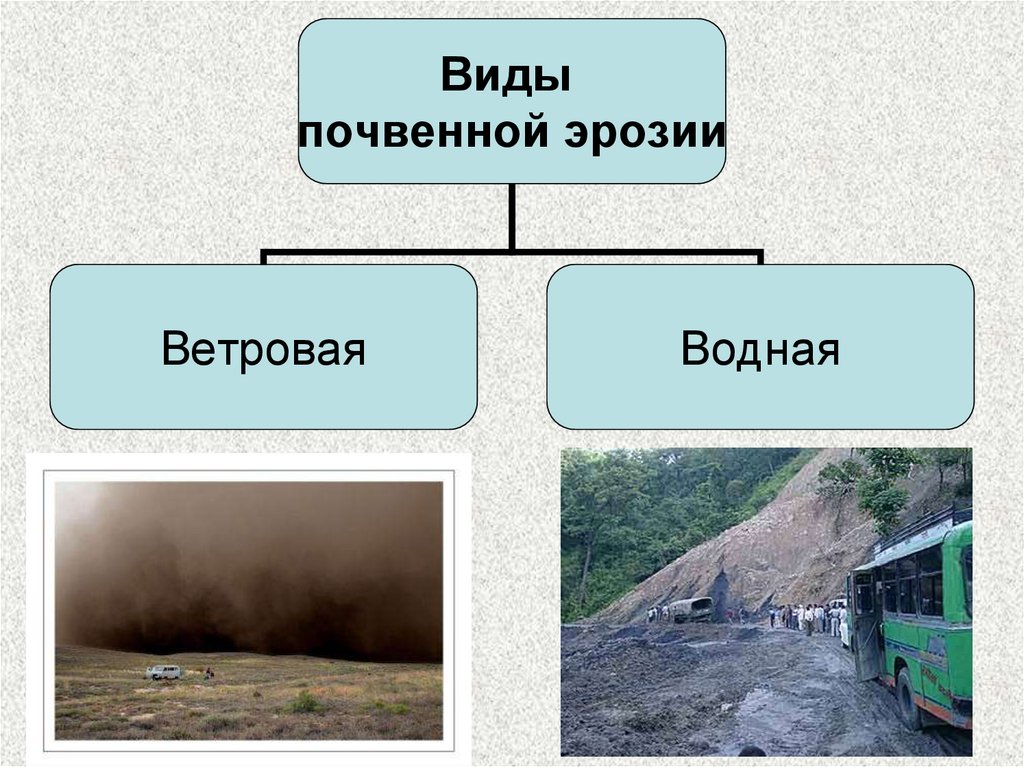 Виды эрозии схема