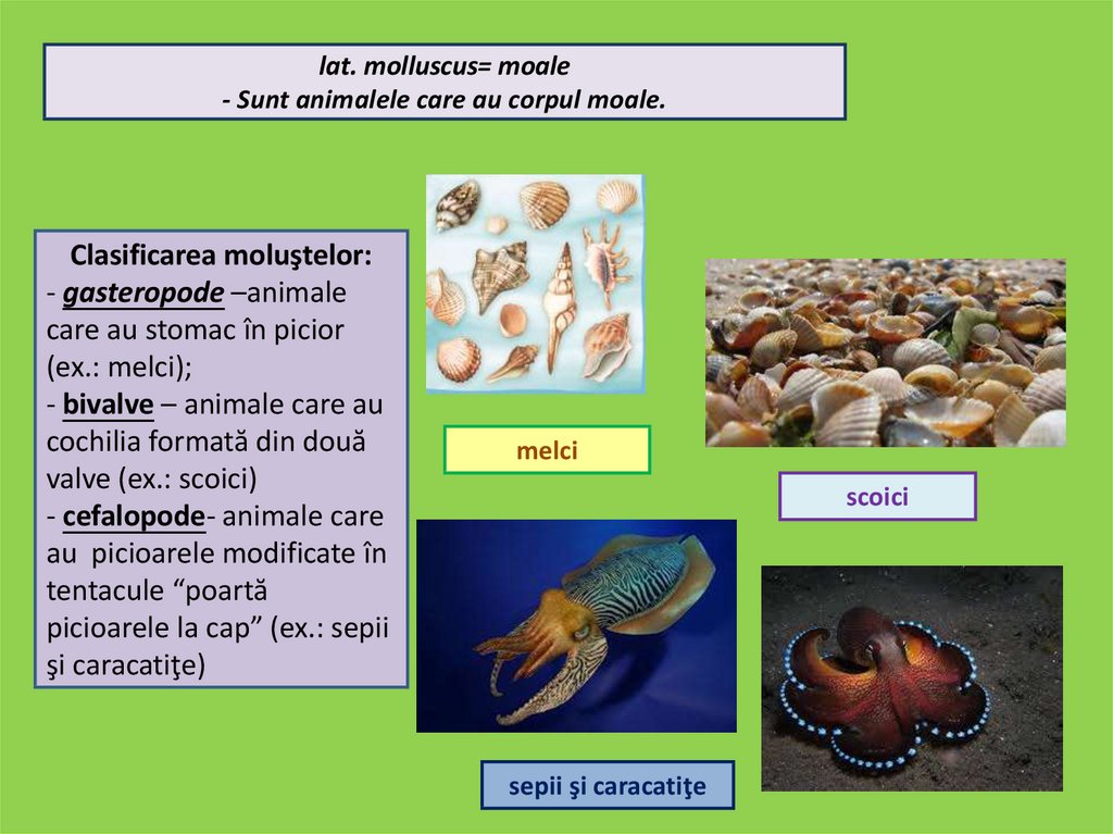 exercițiile de mărire a penisului nu ajută