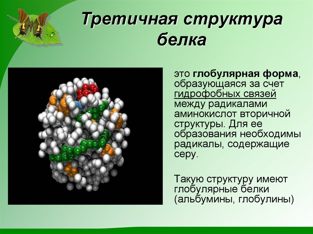 Информация о структуре белков