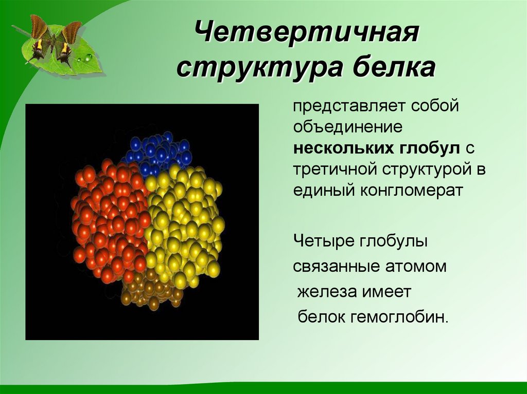 Презентация на тему белки и их структура