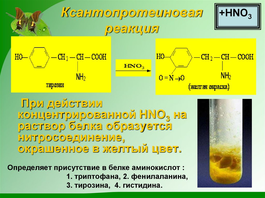 Ксантопротеиновая реакция рисунок