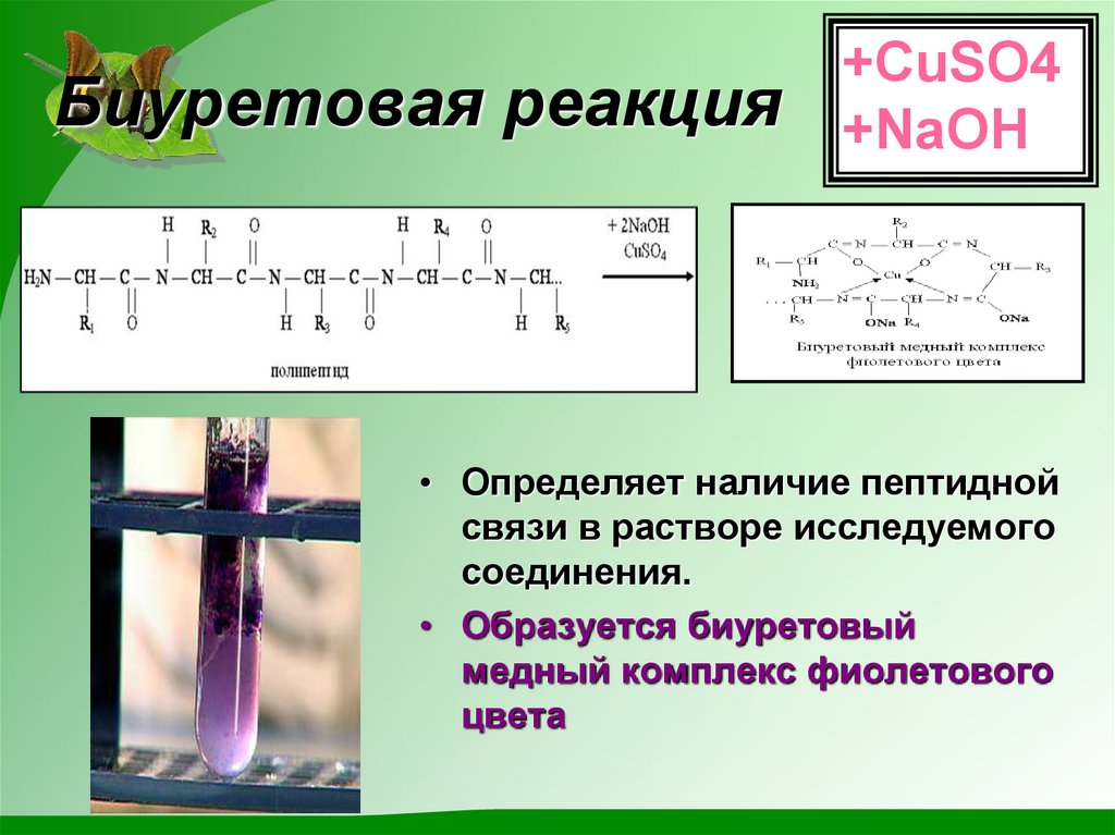 Схема образования биурета из яичного белка