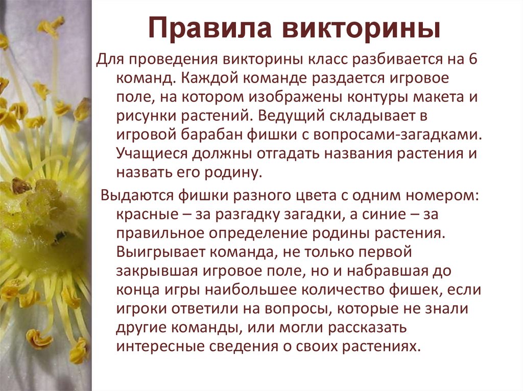 Правила викторины