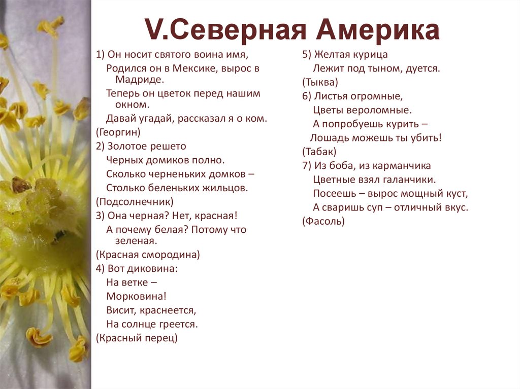 чёрная; нет красная;, а почему белая; по тому, что зелёная. Что это? — Спрашивалка