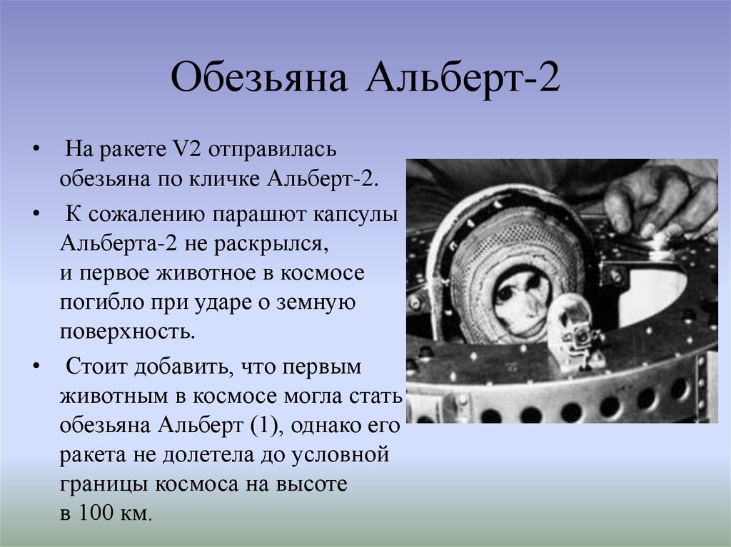 Первая обезьяна полетевшая в космос. Первые животные в космосе.