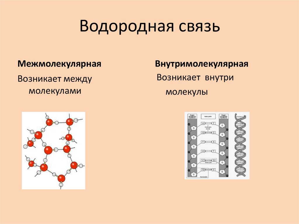 Виды химической связи водородная связь. Вид химической связи водорода. Типы химических связей водородная связь. Внутримолекулярная водородная связь. Типы хим связей водородная.