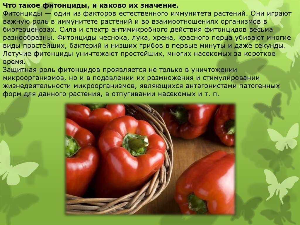 Влияние фитонцидов на сохранность пищевых продуктов проект