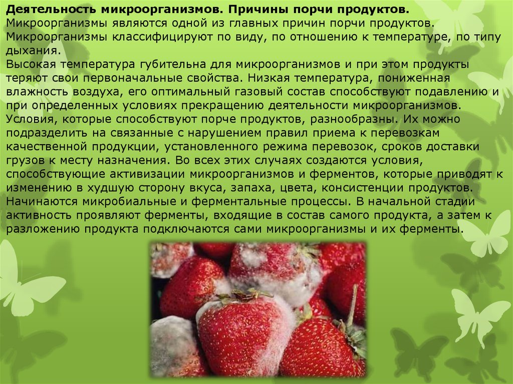 Продукт активность. Причины порчи продуктов питания. Порча пищевых продуктов. Порча продуктов питания бактериями. Бактерии вызывающие порчу продуктов питания.